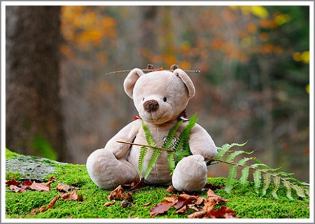 sd_teddy-bear
